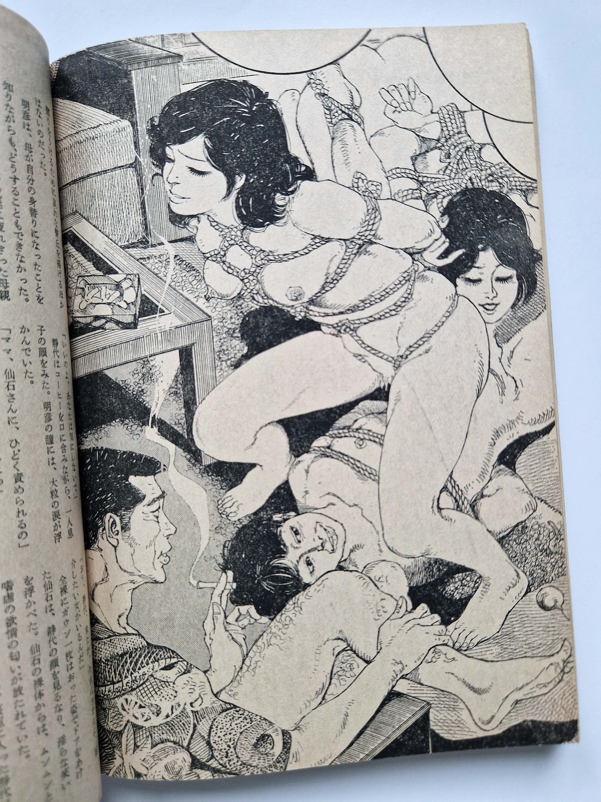 Shōsetsu SM Select November 1981 17