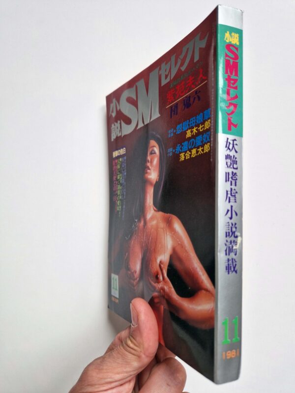 Shōsetsu SM Select November 1981 2