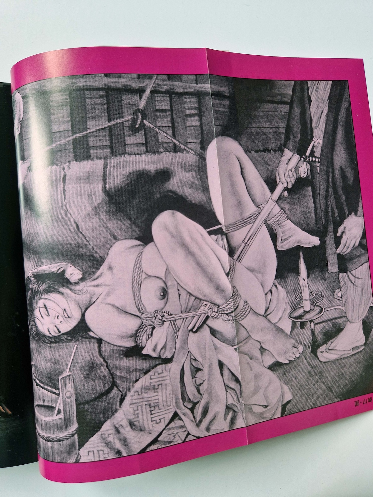 Shōsetsu SM Select November 1981 5