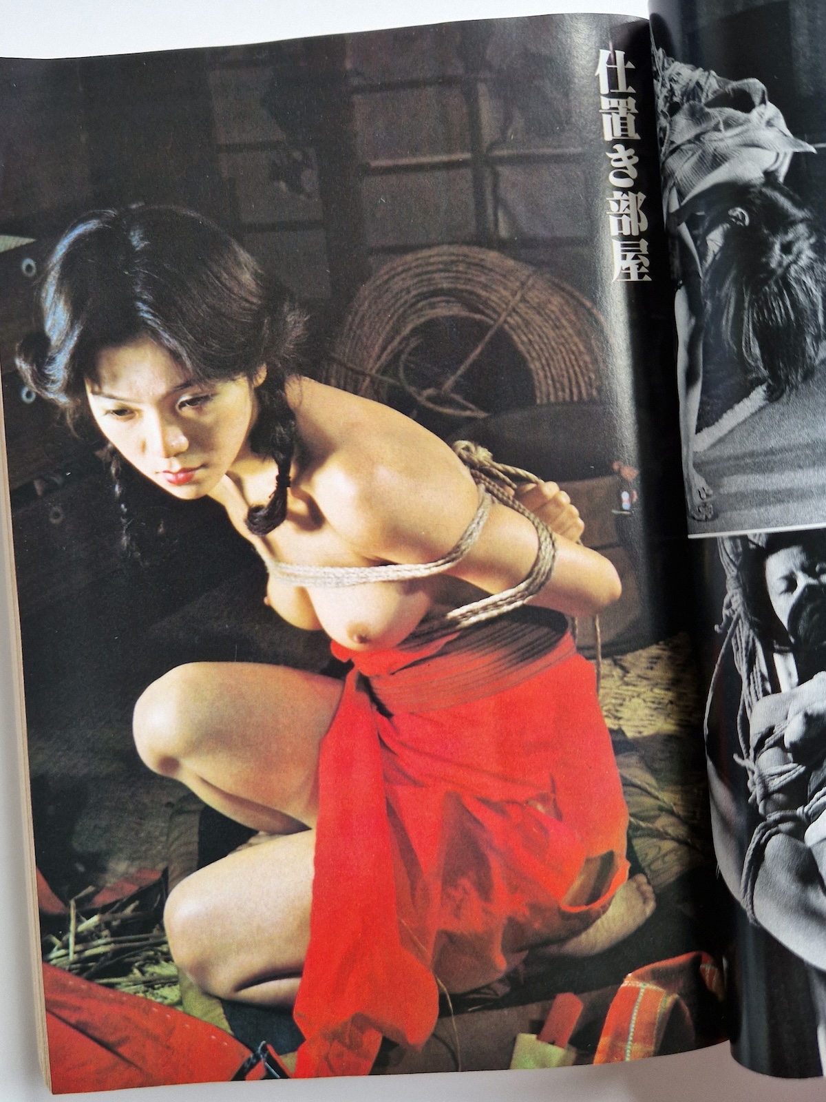 Shōsetsu SM Select – June 1978 15