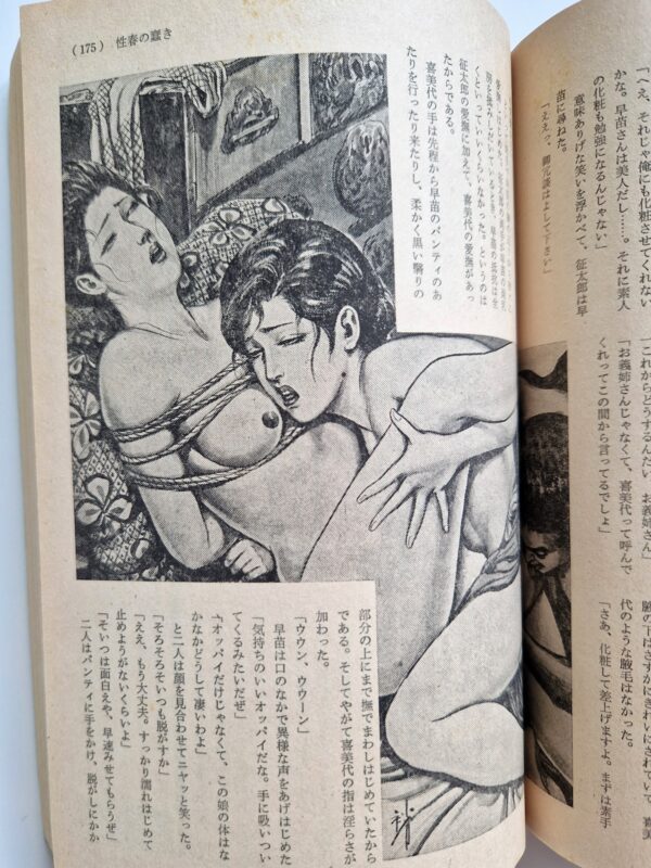 Shōsetsu SM Select – June 1978 18