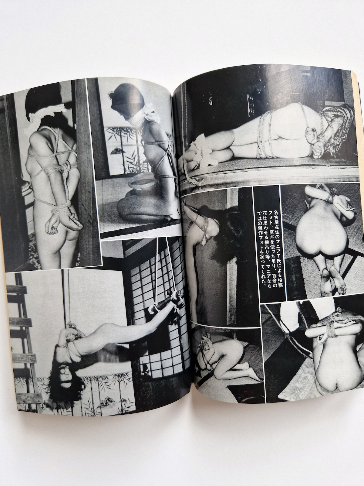 Shōsetsu SM Select – June 1978 19