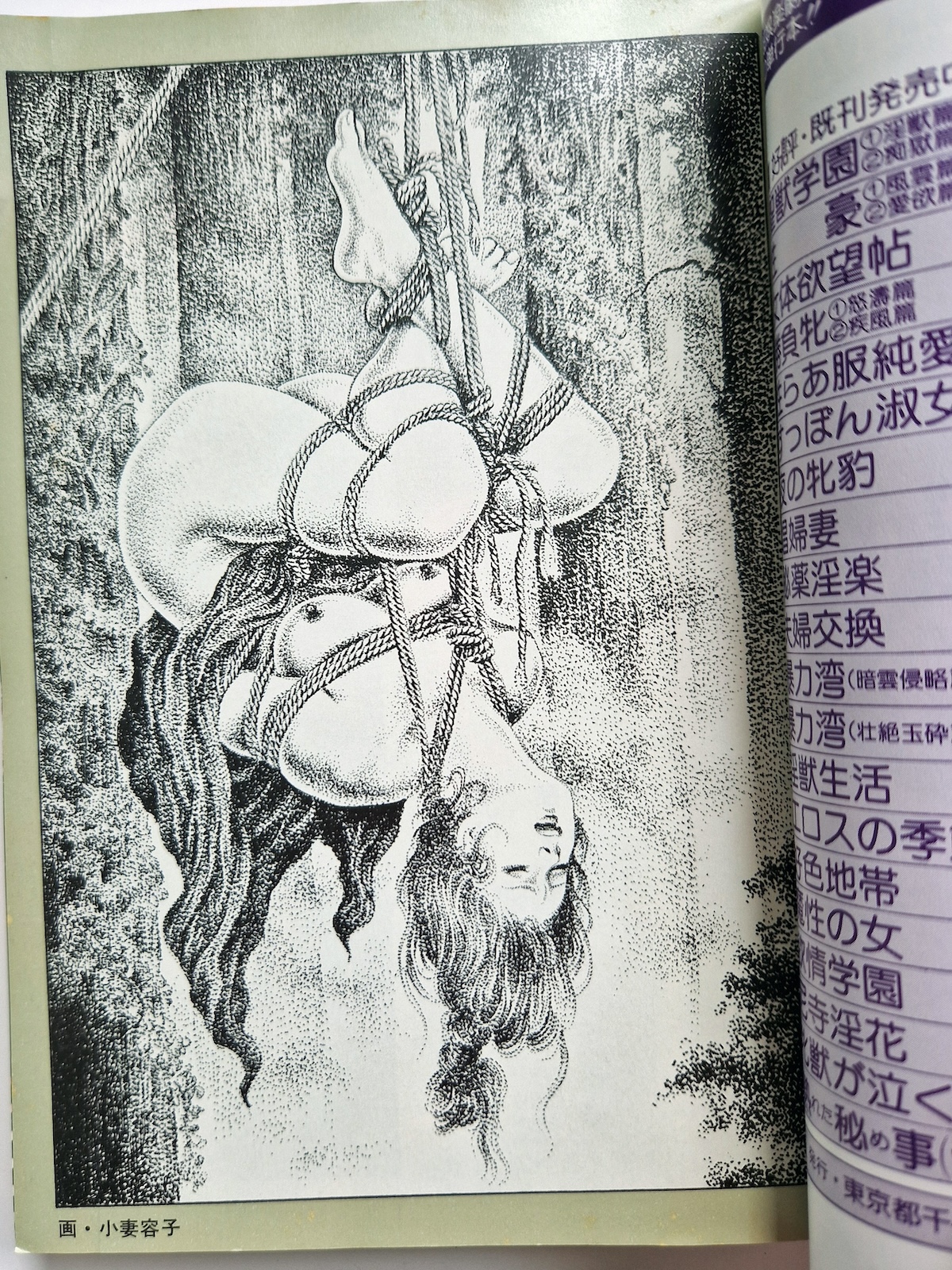 Shōsetsu SM Select – June 1978 3