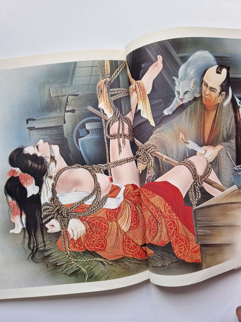 Phantom Mirror Kaname Ozuma 4