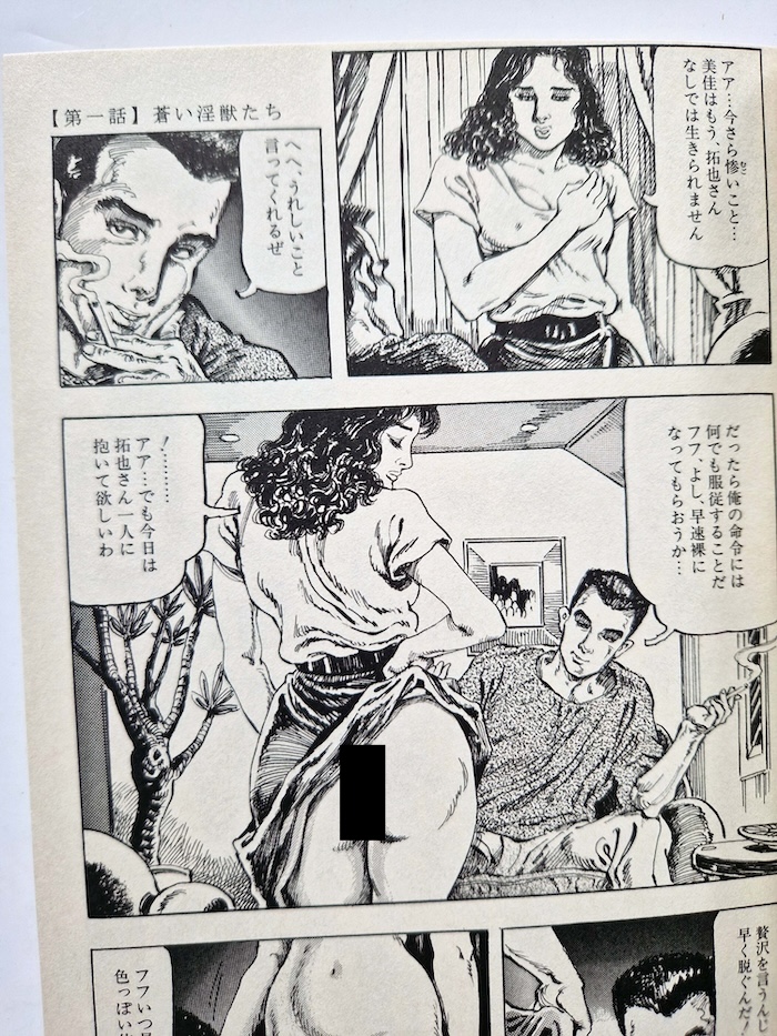 The painter of Showa Volume one by Shiro Kasama 10