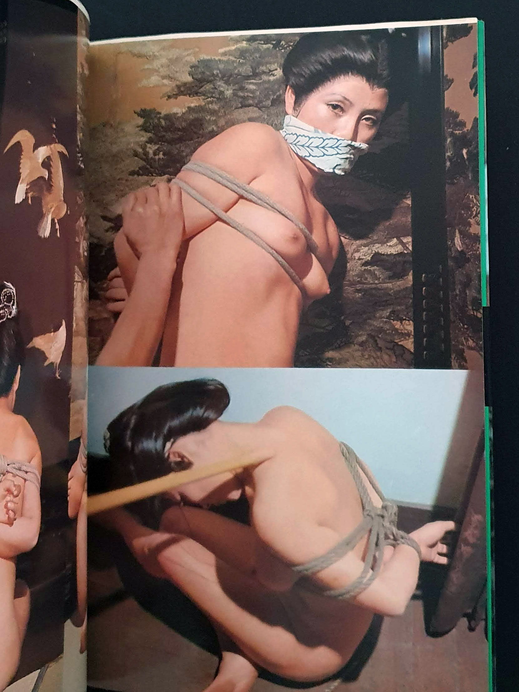 Beloved 2 Bunkyo Era Bondage Flowering Woman Dan Oniroku 5