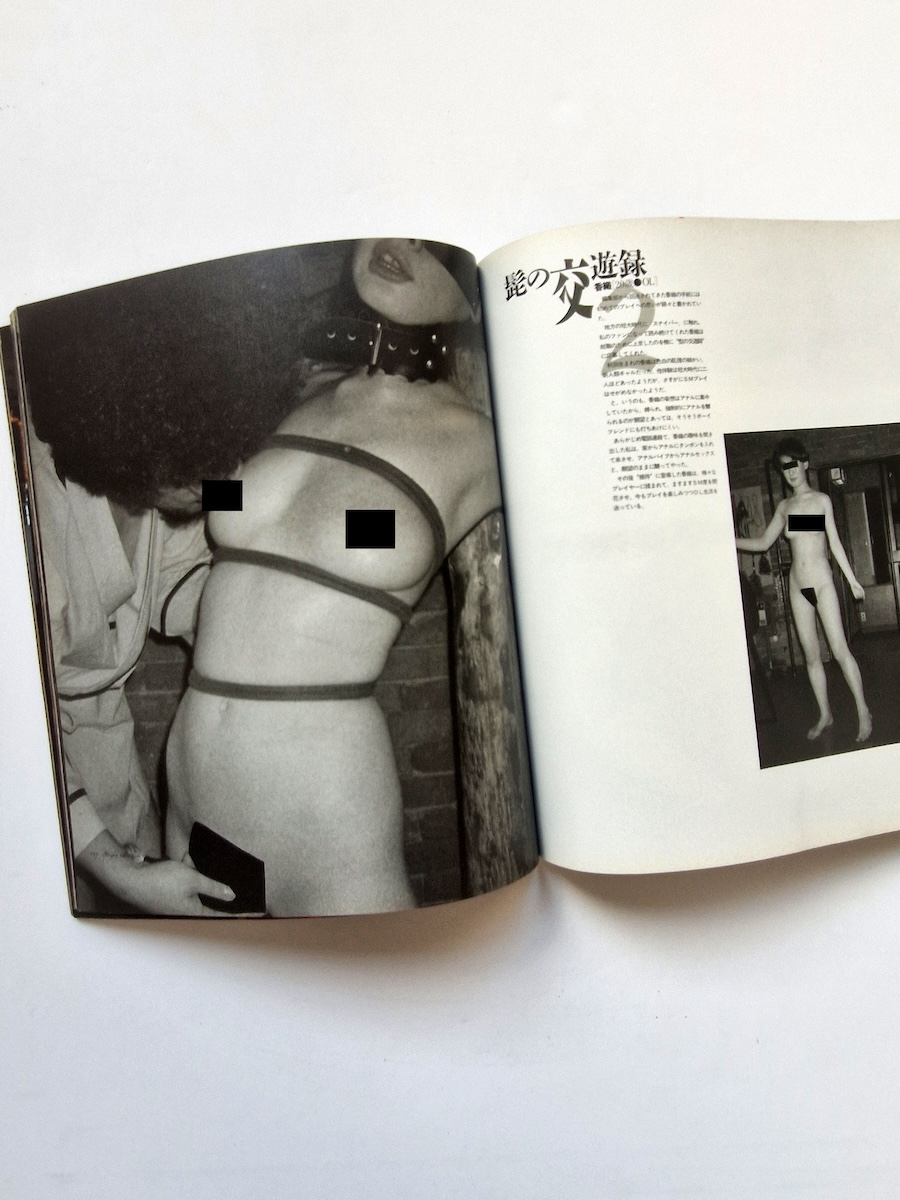 Dai Kinbaku Vol. 1&2 17