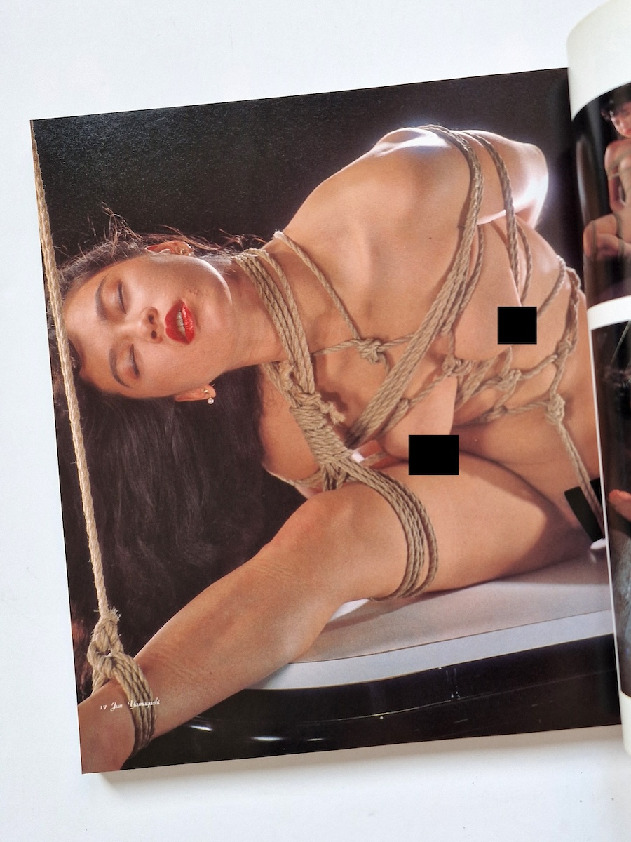 Dai Kinbaku Vol. 1&2 8