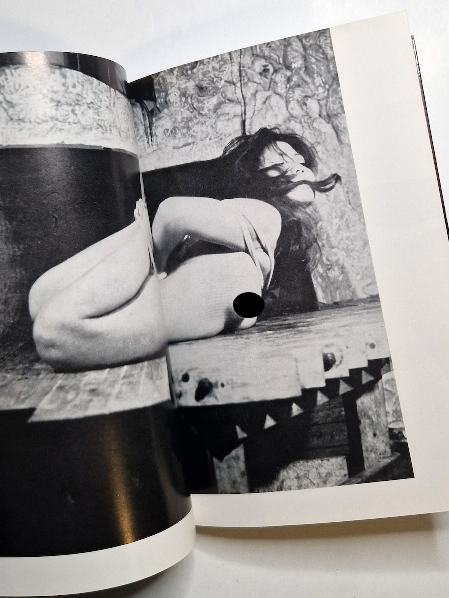 Kinbaku Photo – Demon series vol.1 – Oniroku Dan 2