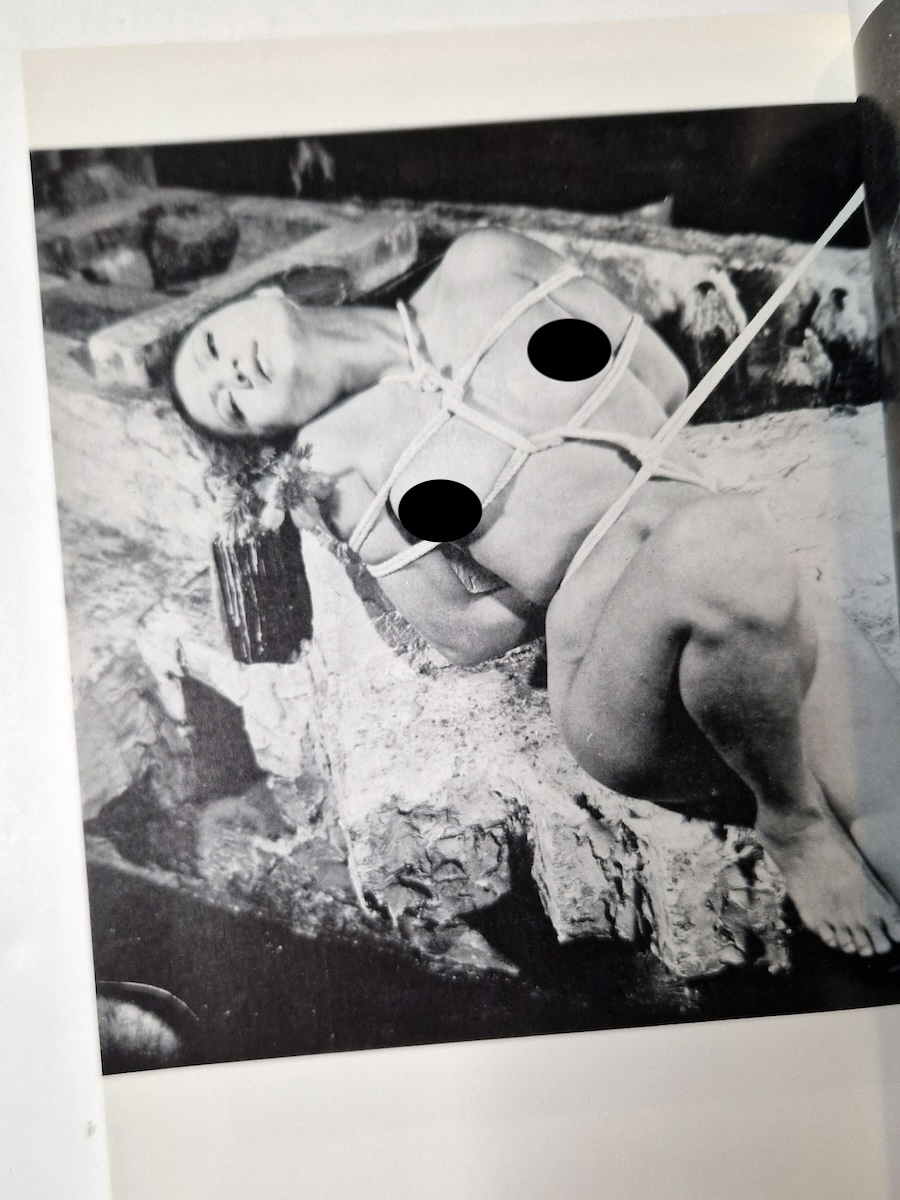 Kinbaku Photo – Demon series vol.1 – Oniroku Dan 9