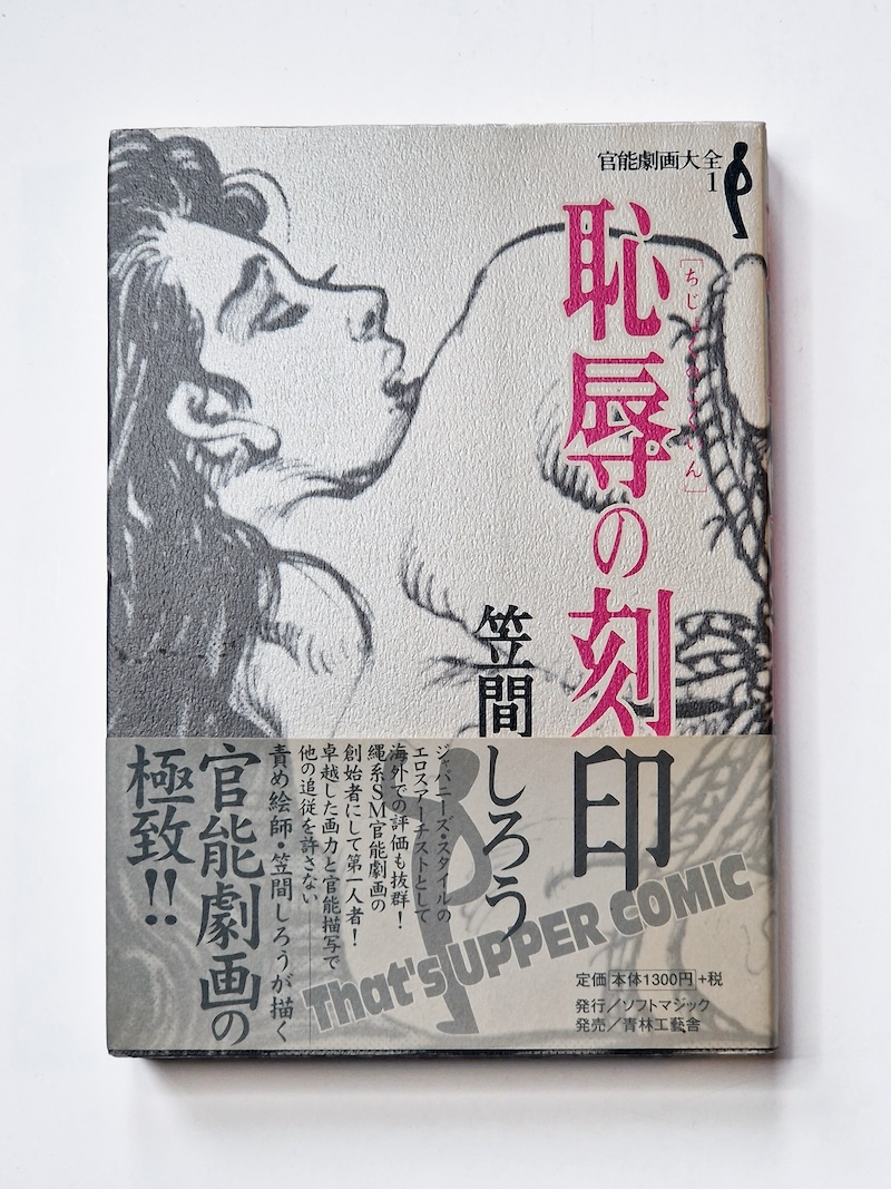 Mark of Shame Shiro Kasama 1