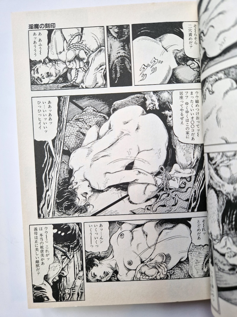 Mark of Shame Shiro Kasama 10