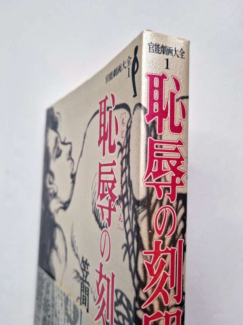 Mark of Shame Shiro Kasama 3