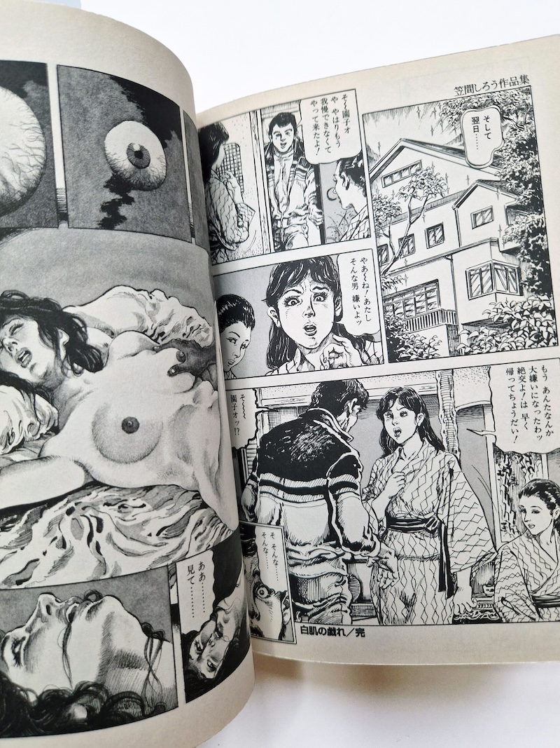 New Erotic Gekiga Complete Works Shiro Kasama 14 New Erotic Gekiga Complete Works Shiro Kasama 14