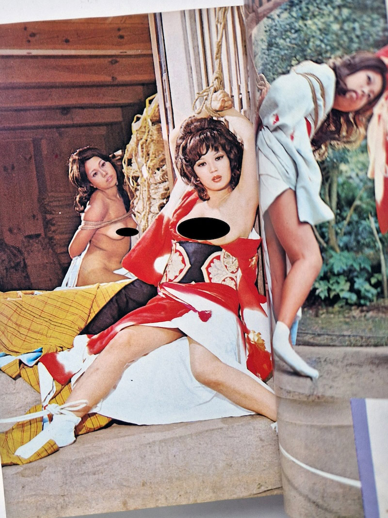 SM Fan January 1973 framed 3