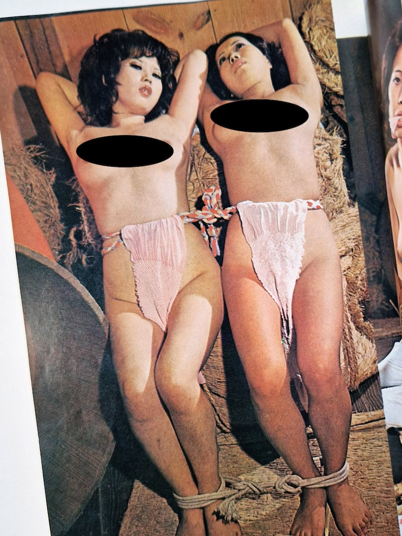 SM Fan January 1973 framed 4