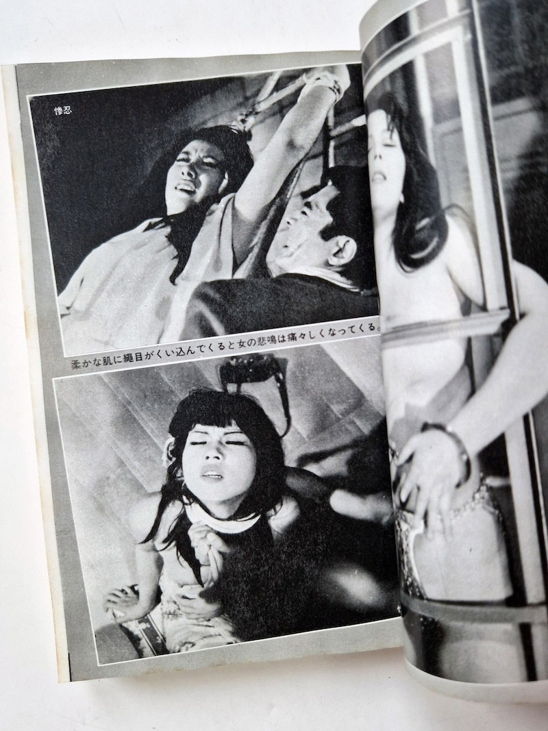 SM Fan January 1973 framed 5