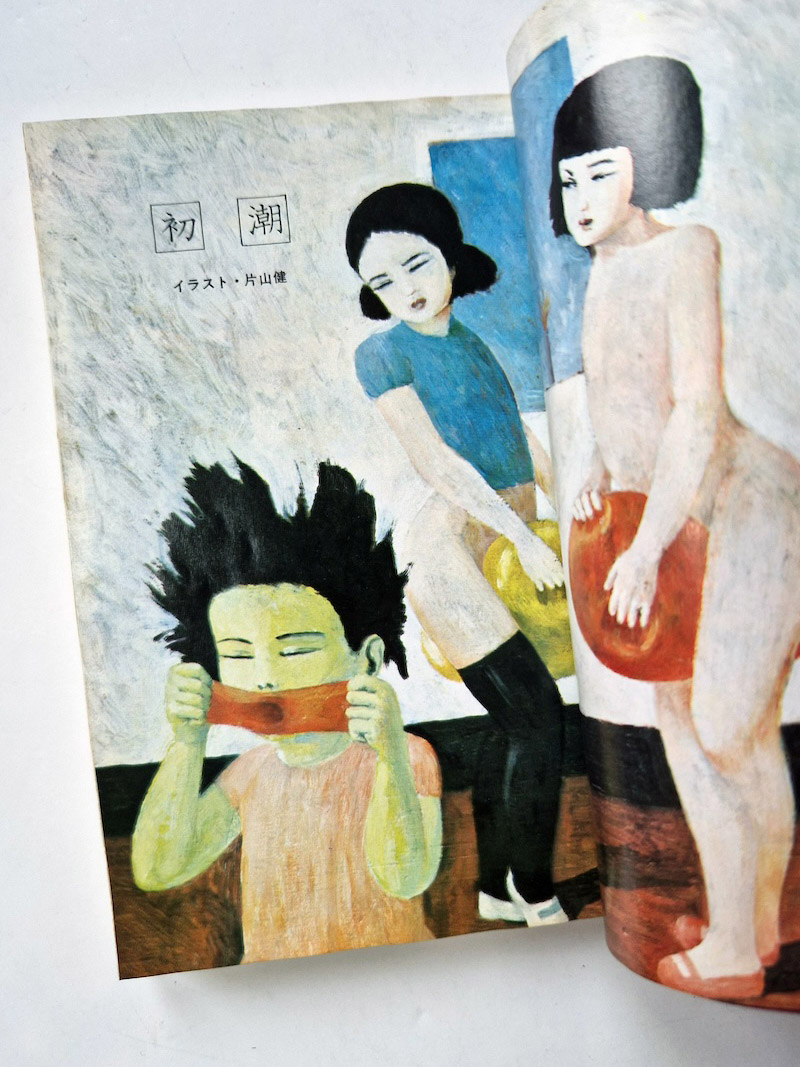 SM Fan January 1973 framed 7