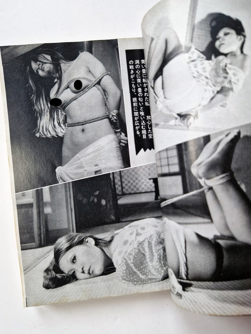 SM Fan January 1973 framed 8