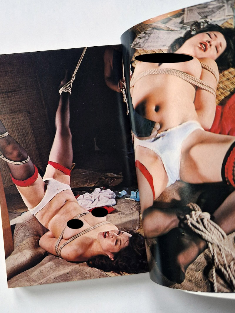 SM Fan July 1975 framed 3