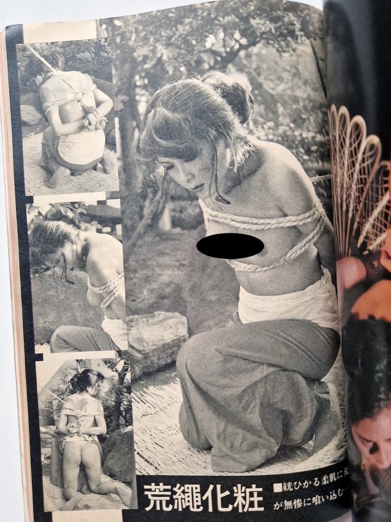 SM Play Info November 1979 15