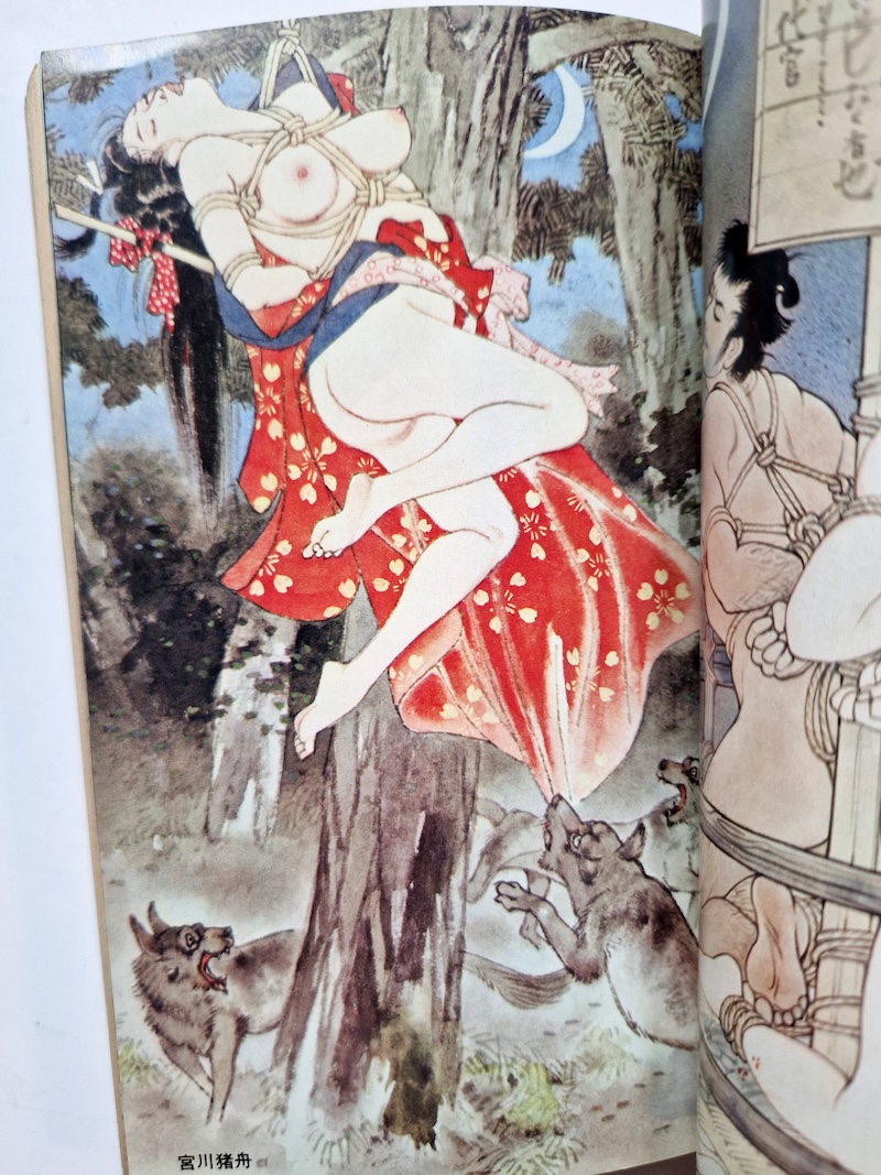 SM Select July 1971 11 SM Select July 1971 11