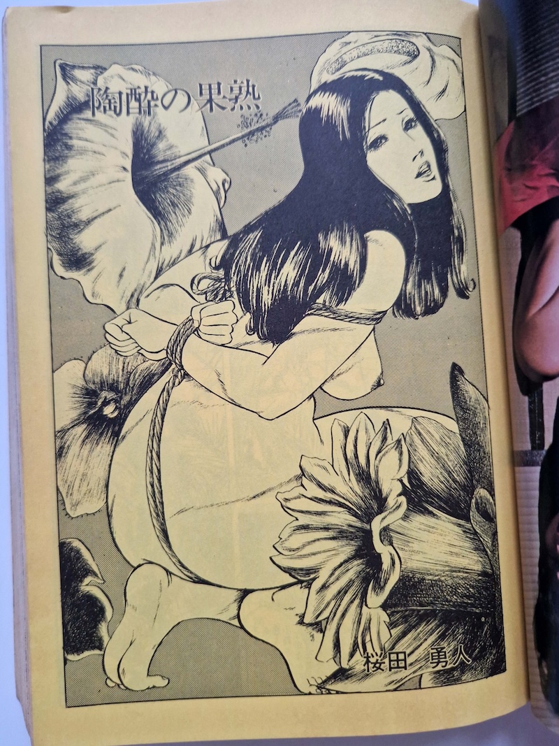 Shōsetsu SM Select August 1980 14 Shōsetsu SM Select August 1980 14