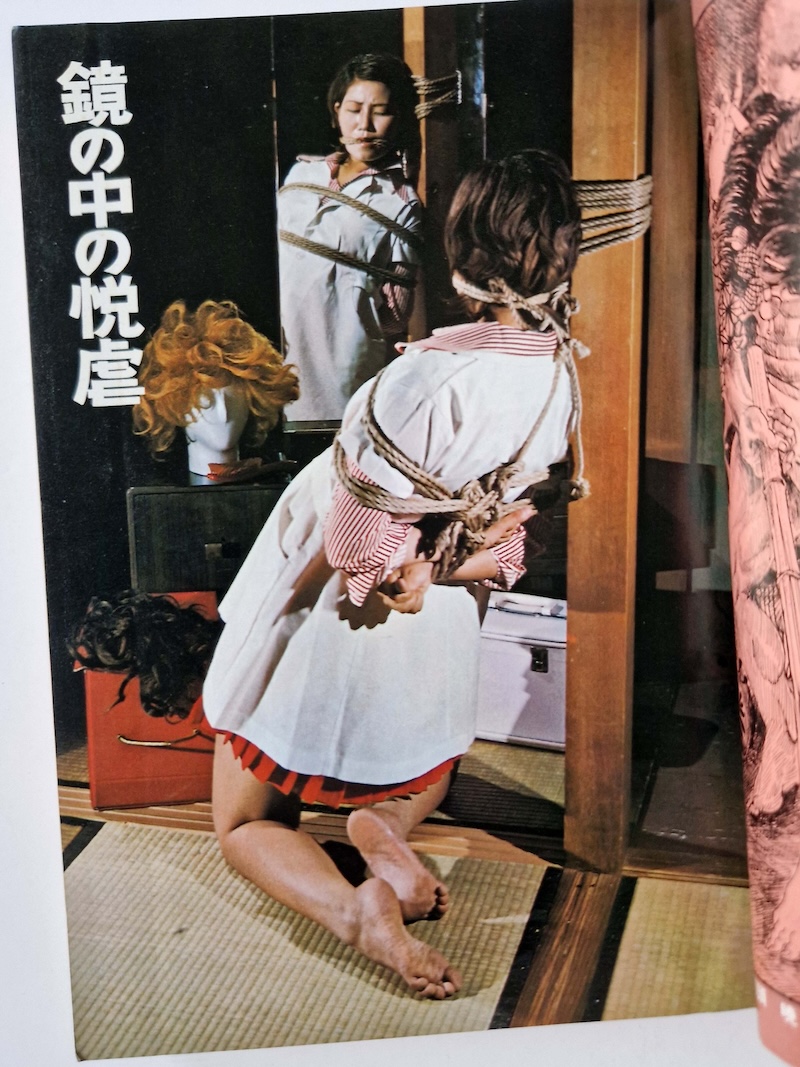 Shōsetsu SM Select August 1980 5 Shōsetsu SM Select August 1980 5