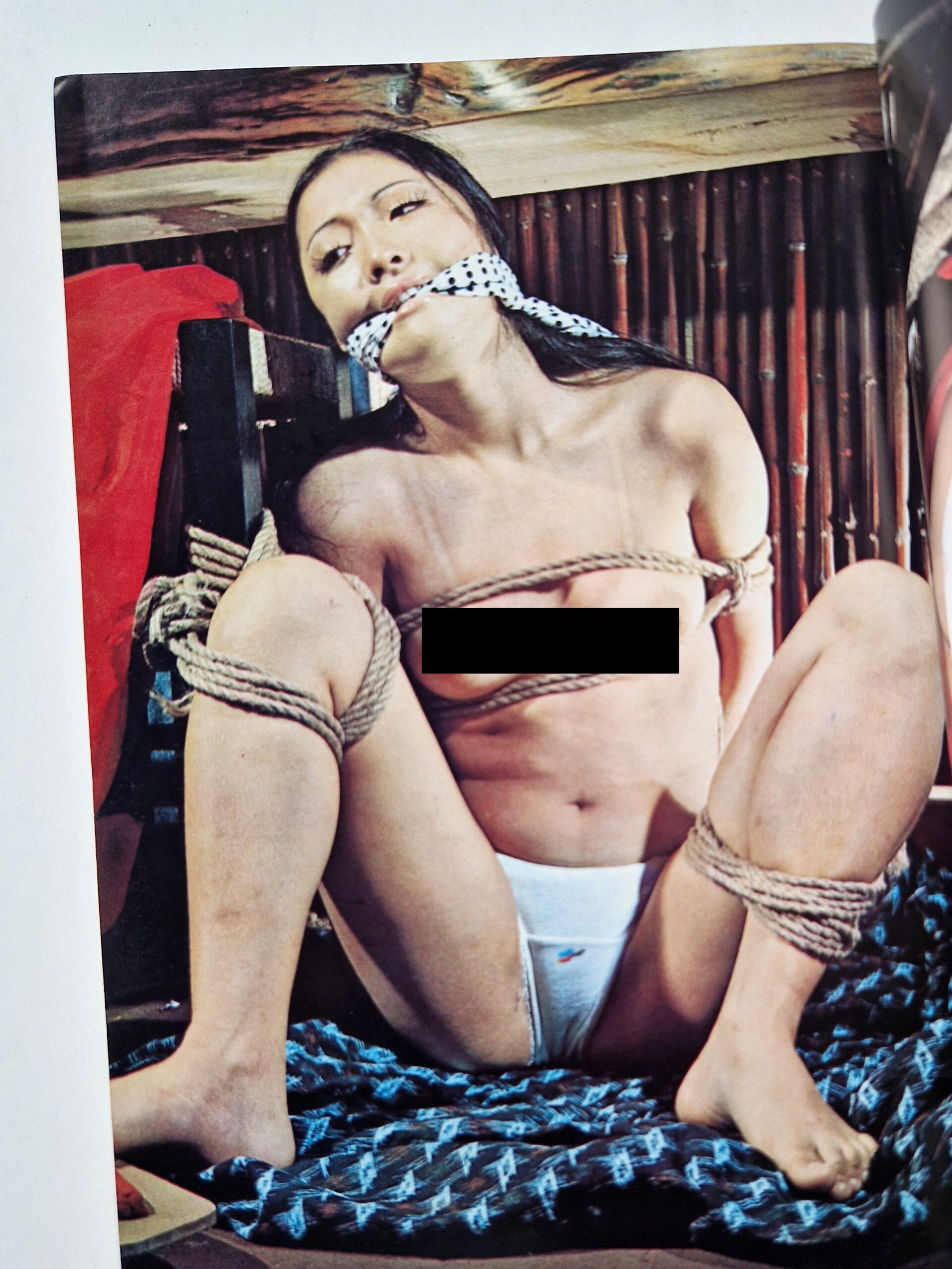 Shosetsu SM Select October 1973 4 Shosetsu SM Select October 1973 4