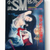 Shosetsu SM Select October 1973 cover Shosetsu SM Select October 1973 cover