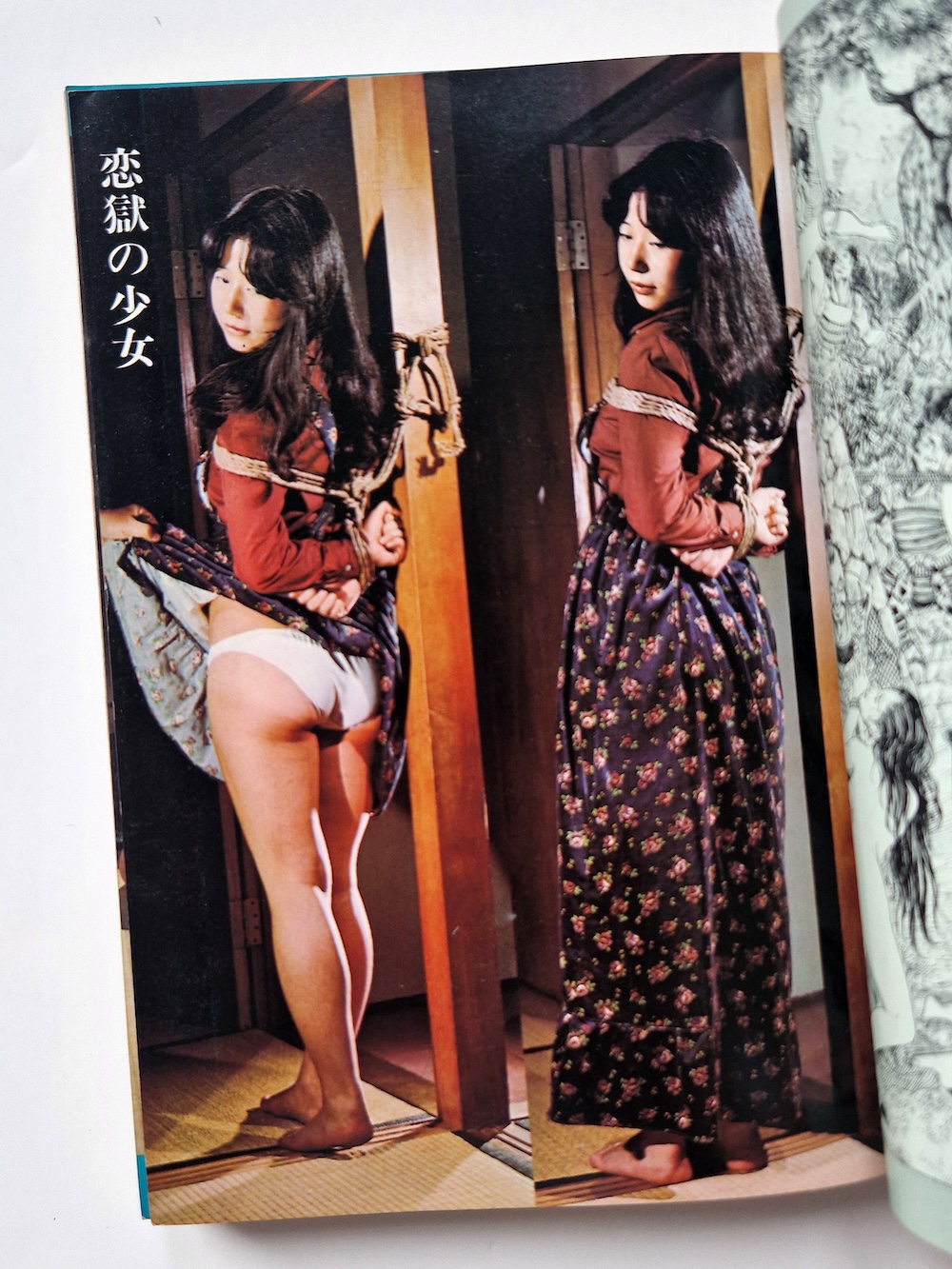 Shosetsu SM Select October 1976 5