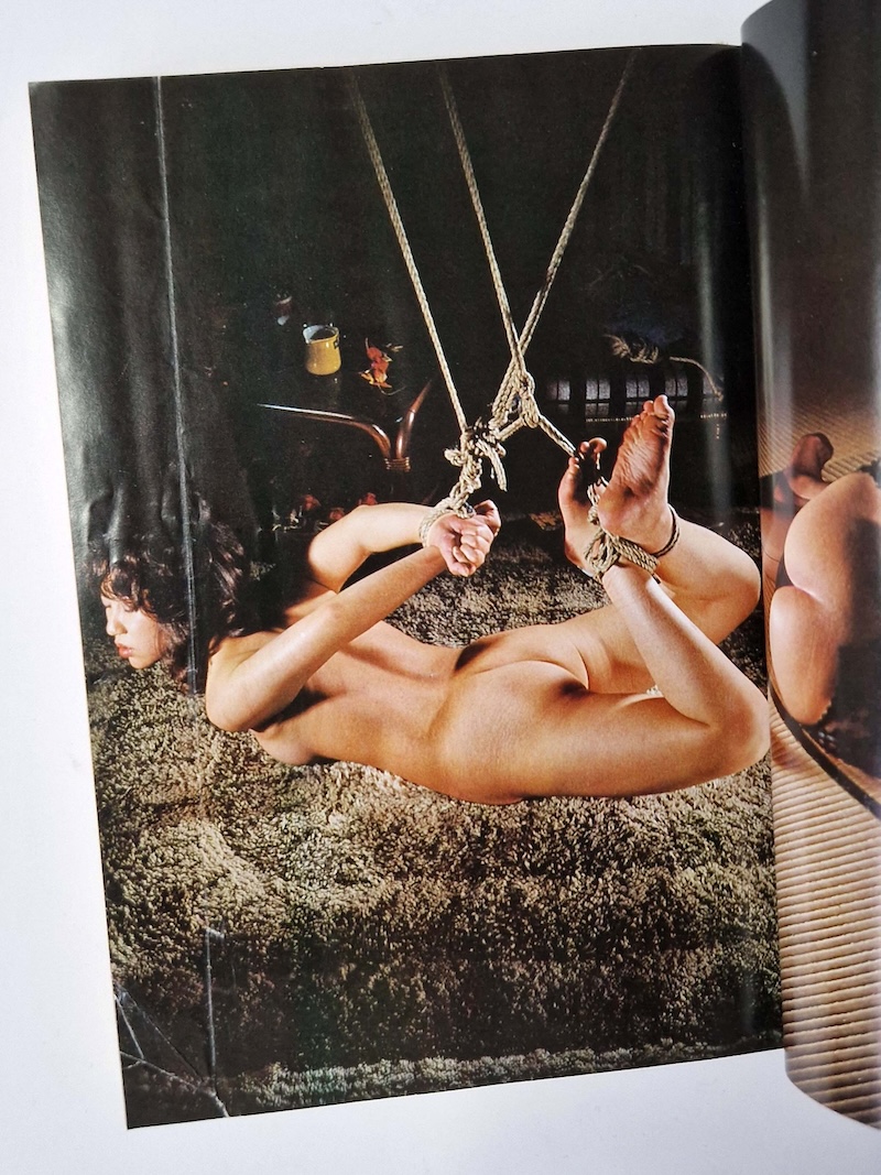 Shōsetsu SM Select – October 1978 5 Shōsetsu SM Select – October 1978 5