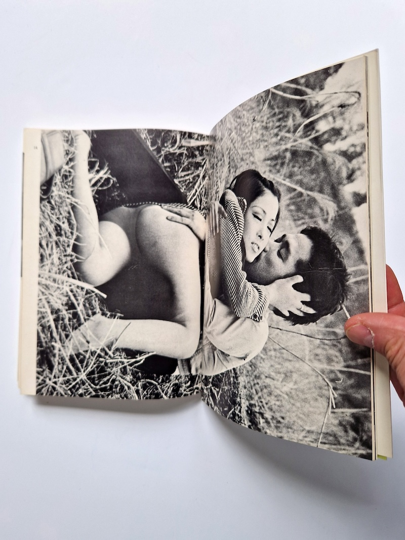 Extasy Indigenous Eros in Movies 2