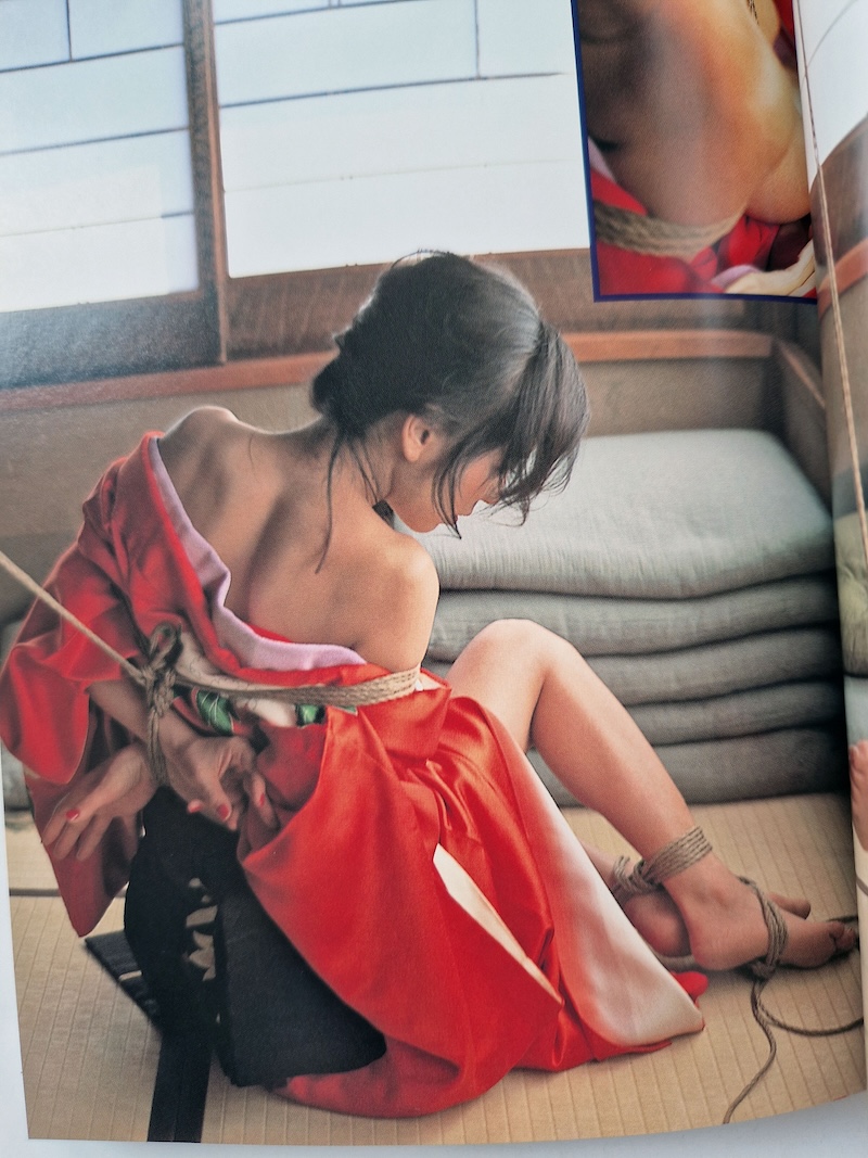 Ranjuku Bihaku — Nao Saejima SM Photo Collection 10