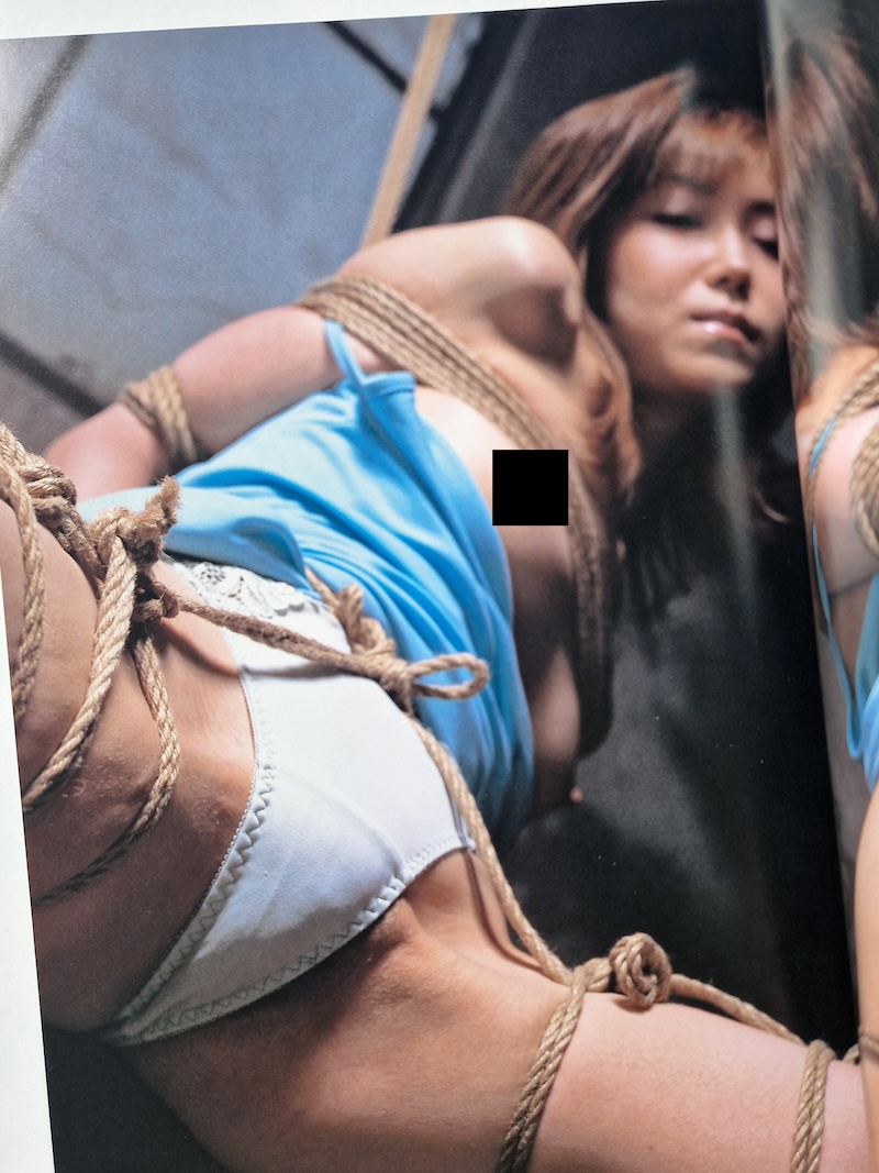 Riho Kobayashi: Bondage Nude Photobook 6