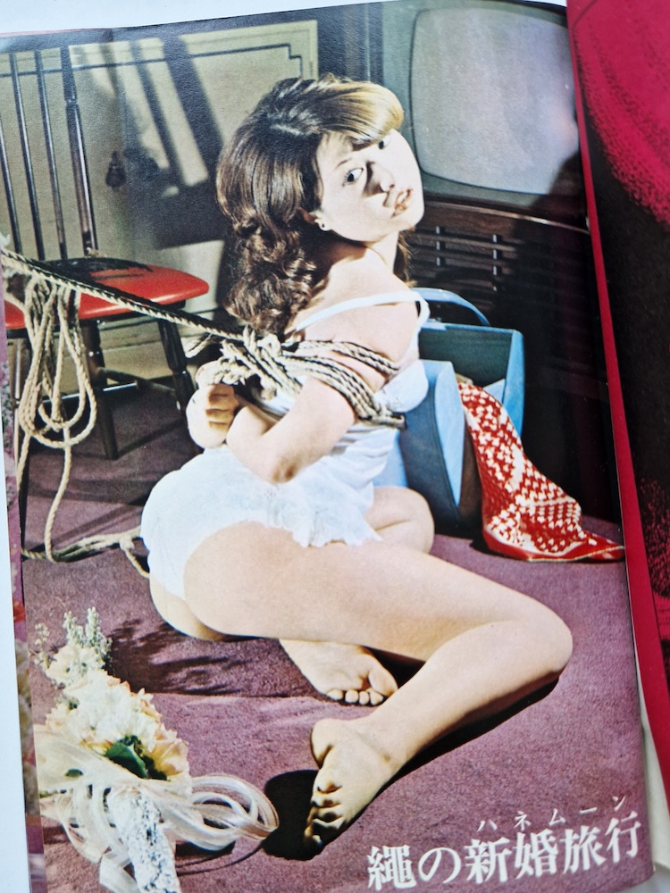 SM Collector June 1974 2 SM Collector June 1974 2