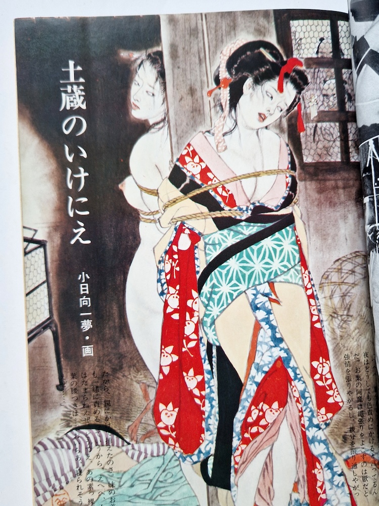 SM Collector June 1974 7 SM Collector June 1974 7