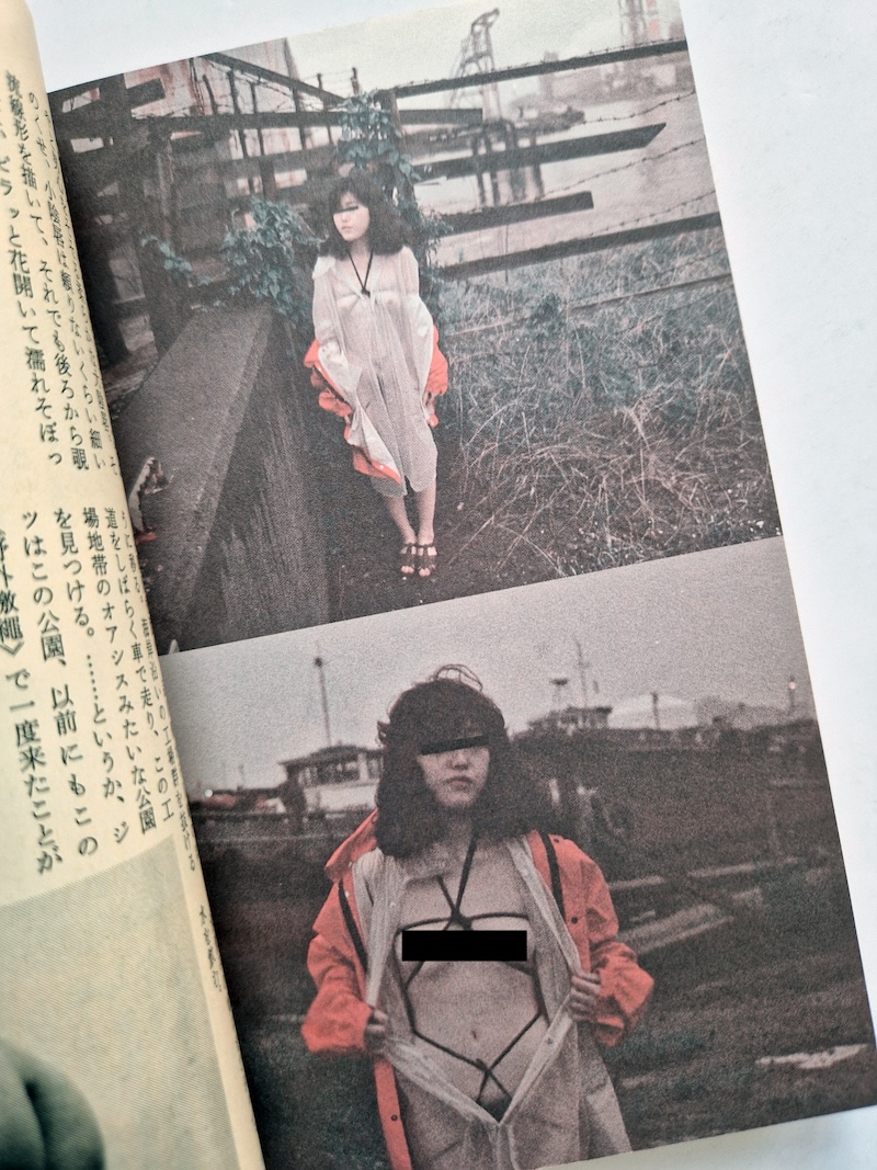 SM Fan January 1987 13