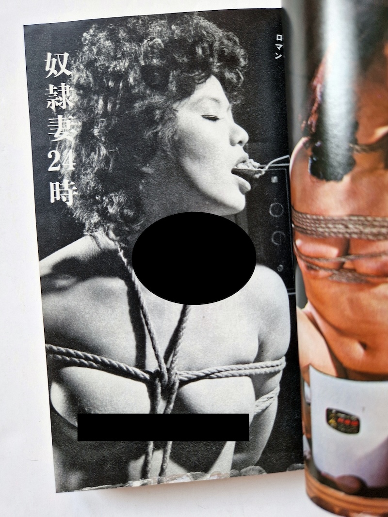 SM Fan March 1976 6 SM Fan March 1976 6