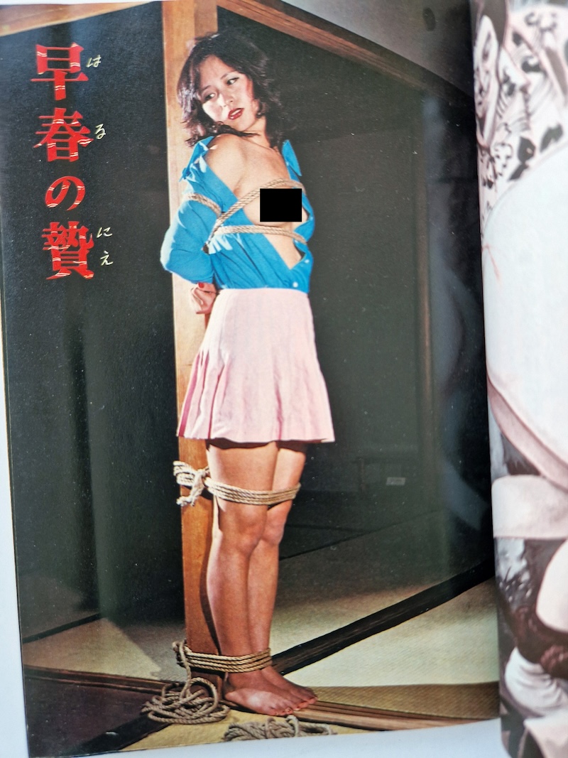 SM Frontier March 1977 3 SM Frontier March 1977 3