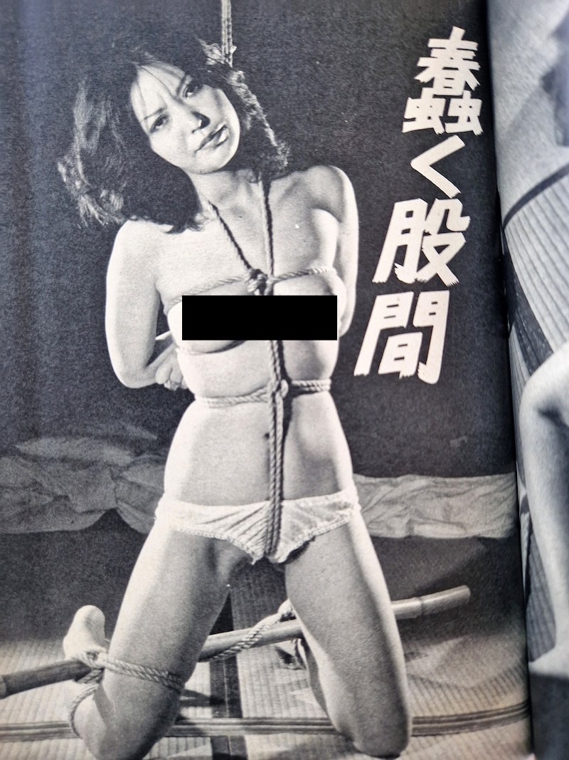 SM Frontier March 1977 5 SM Frontier March 1977 5