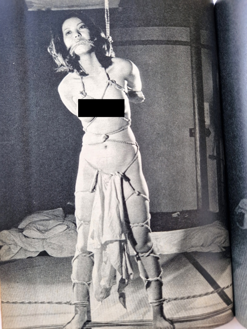 SM Frontier March 1977 6 SM Frontier March 1977 6