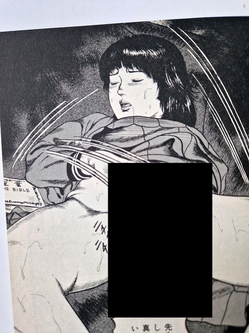 The Baptism of a Saint Tomomi Sanjo 2