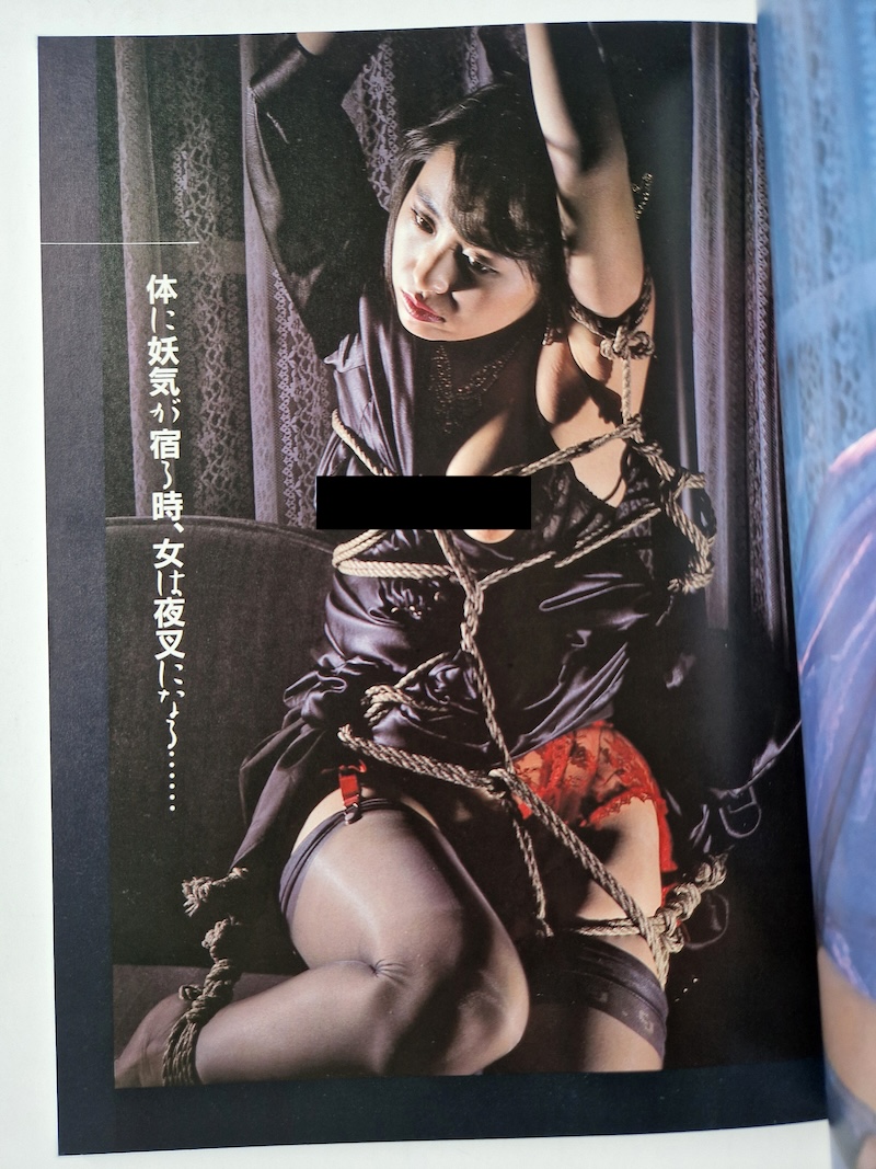 Yasha hime: Megumi Ishihara Photo Book 6