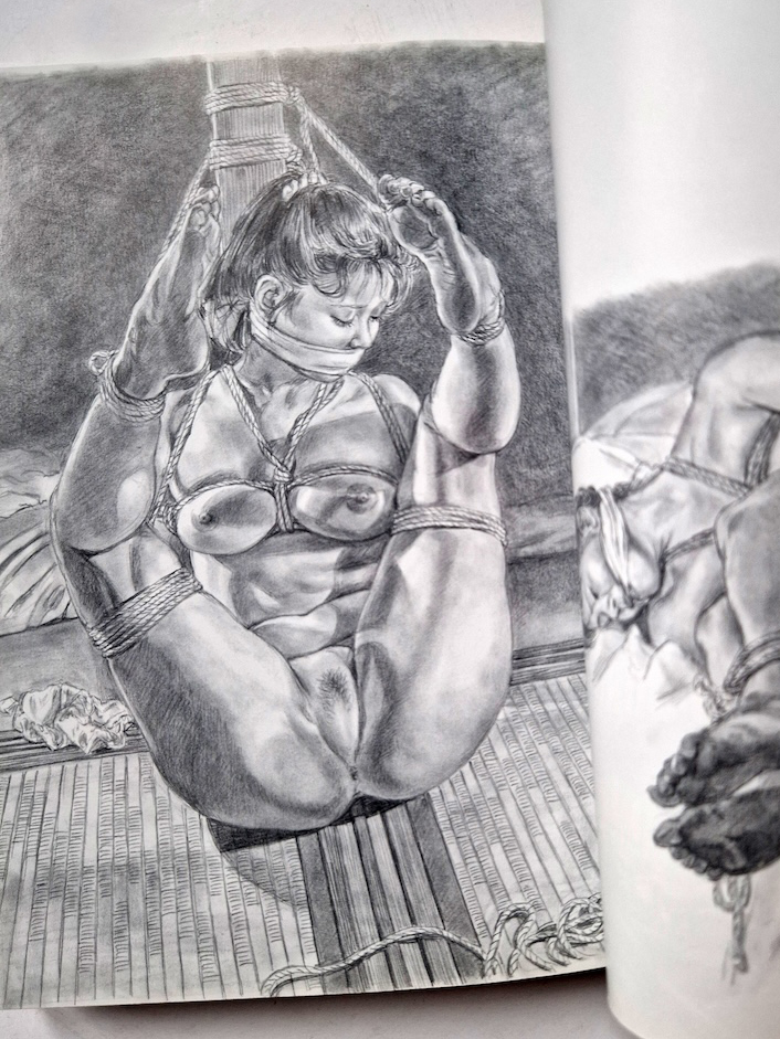 Night Road of the Vixen Yoji Muku 12