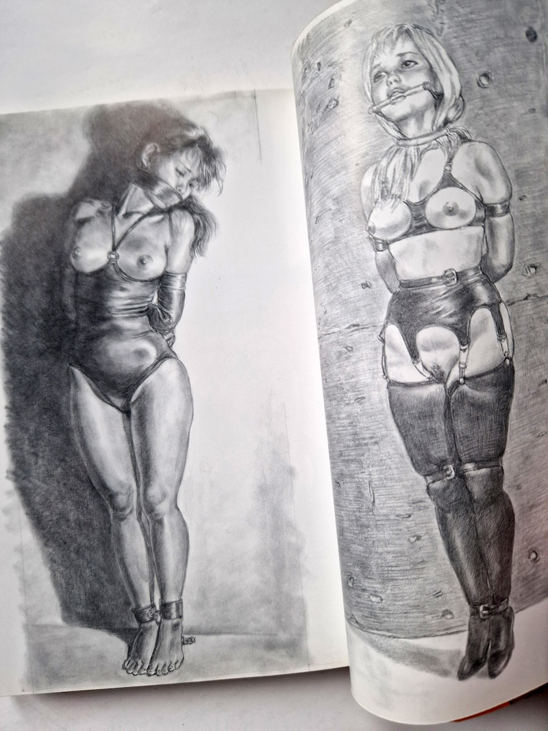 Night Road of the Vixen Yoji Muku 6